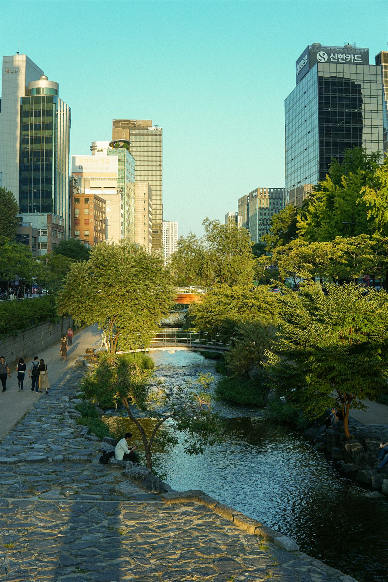 Cheonggyecheon stream in low golden light, with stepping stones and trees between office towers
