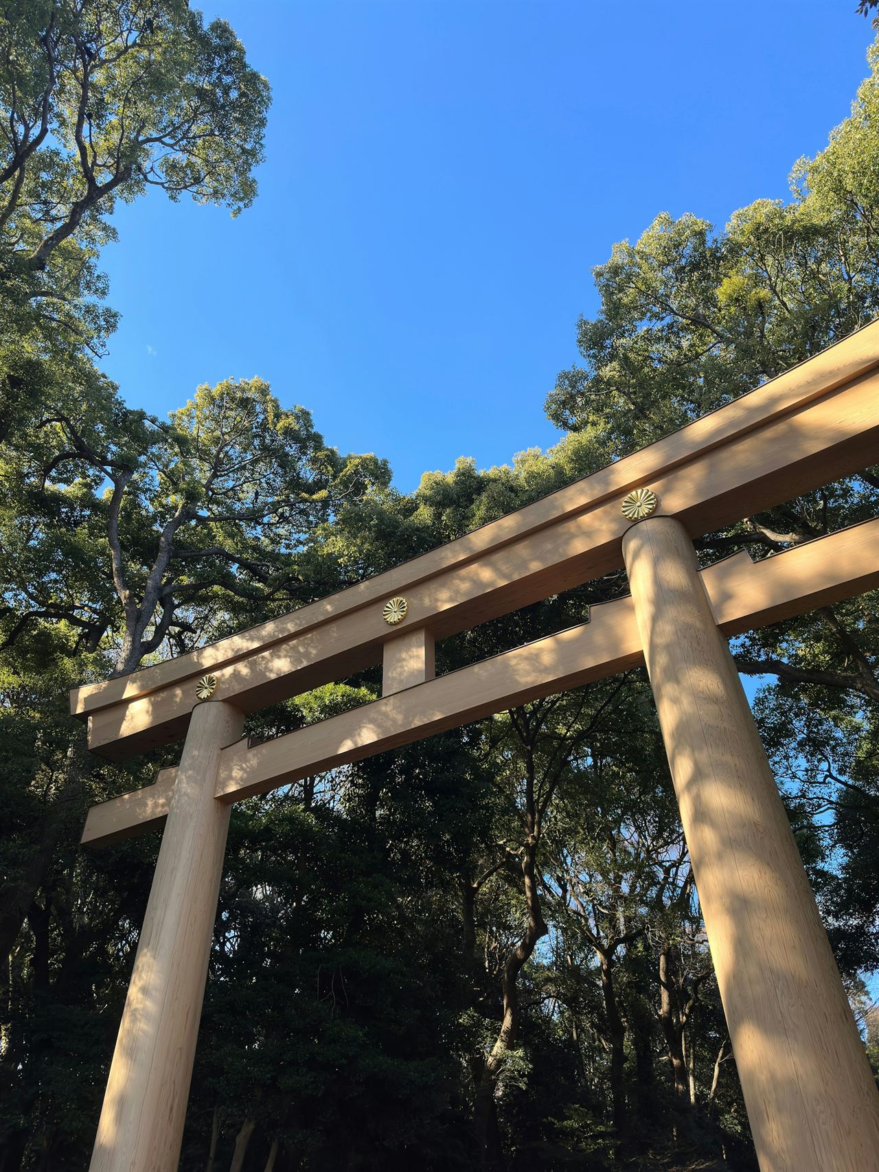 A tall wooden torii gate at Meiji Jingu, framed by the forest canopy against a blue sky