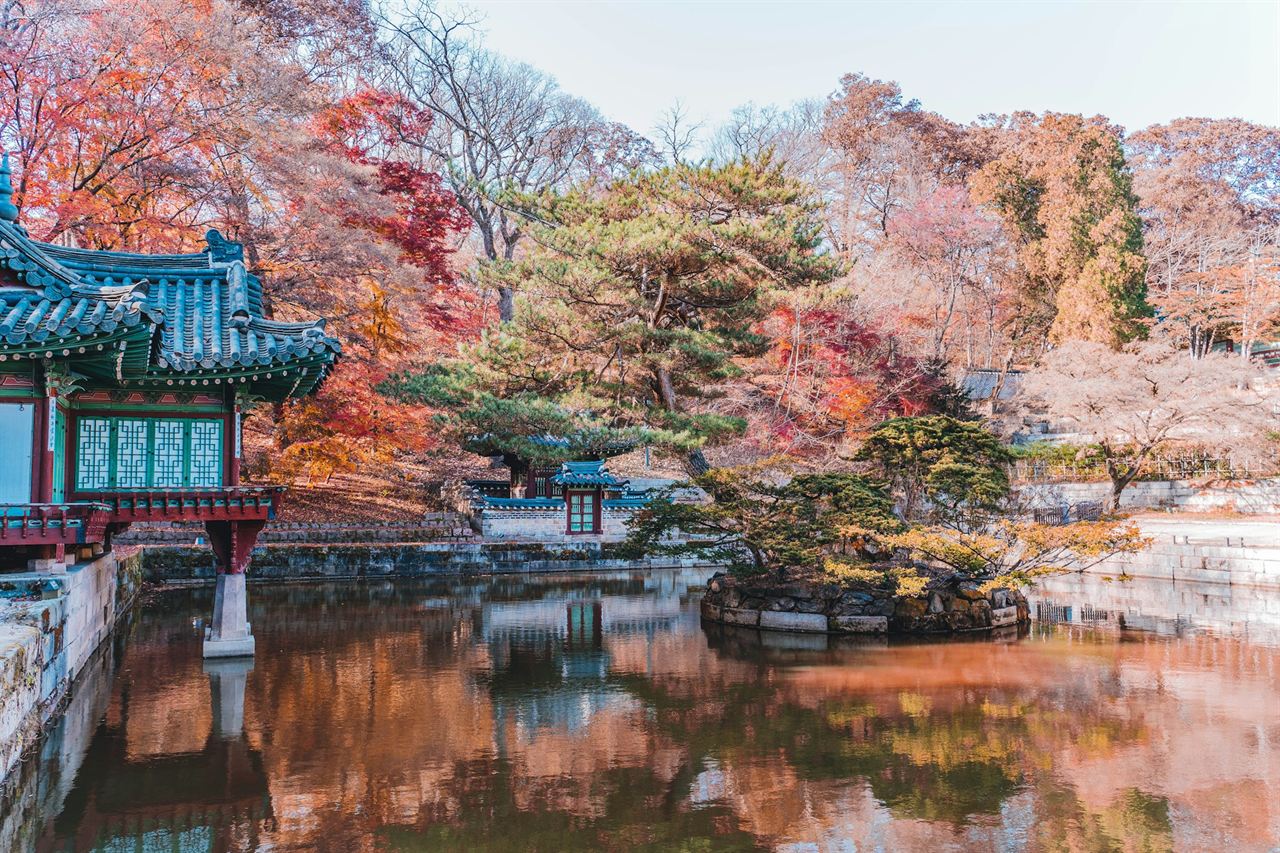 An autumn pond in Changdeokgung’s Secret Garden, a painted pavilion on stone pillars reflected among red and gold trees