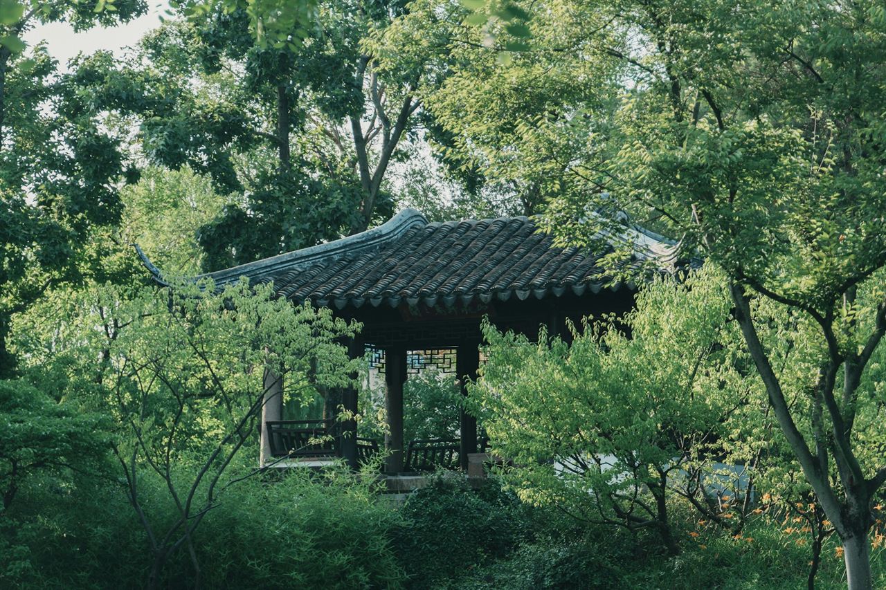A tiled pavilion half hidden among old trees in a Suzhou classical garden