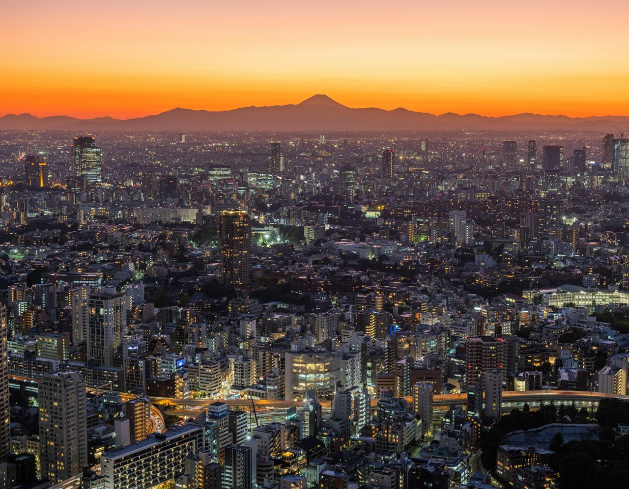 Tokyo at dusk with Mount Fuji on the horizon