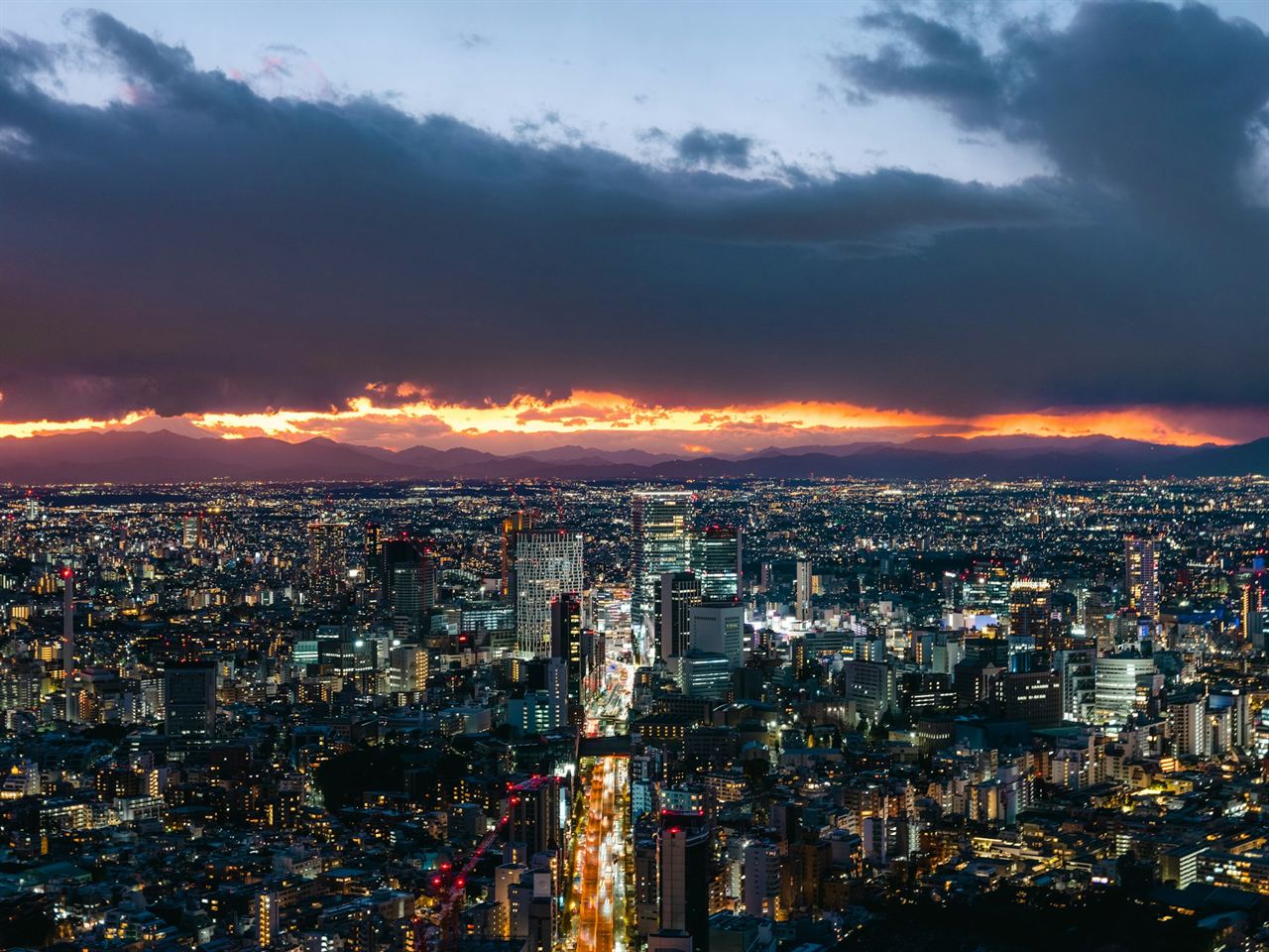 Tokyo’s lights spreading to the horizon under the last of the sunset